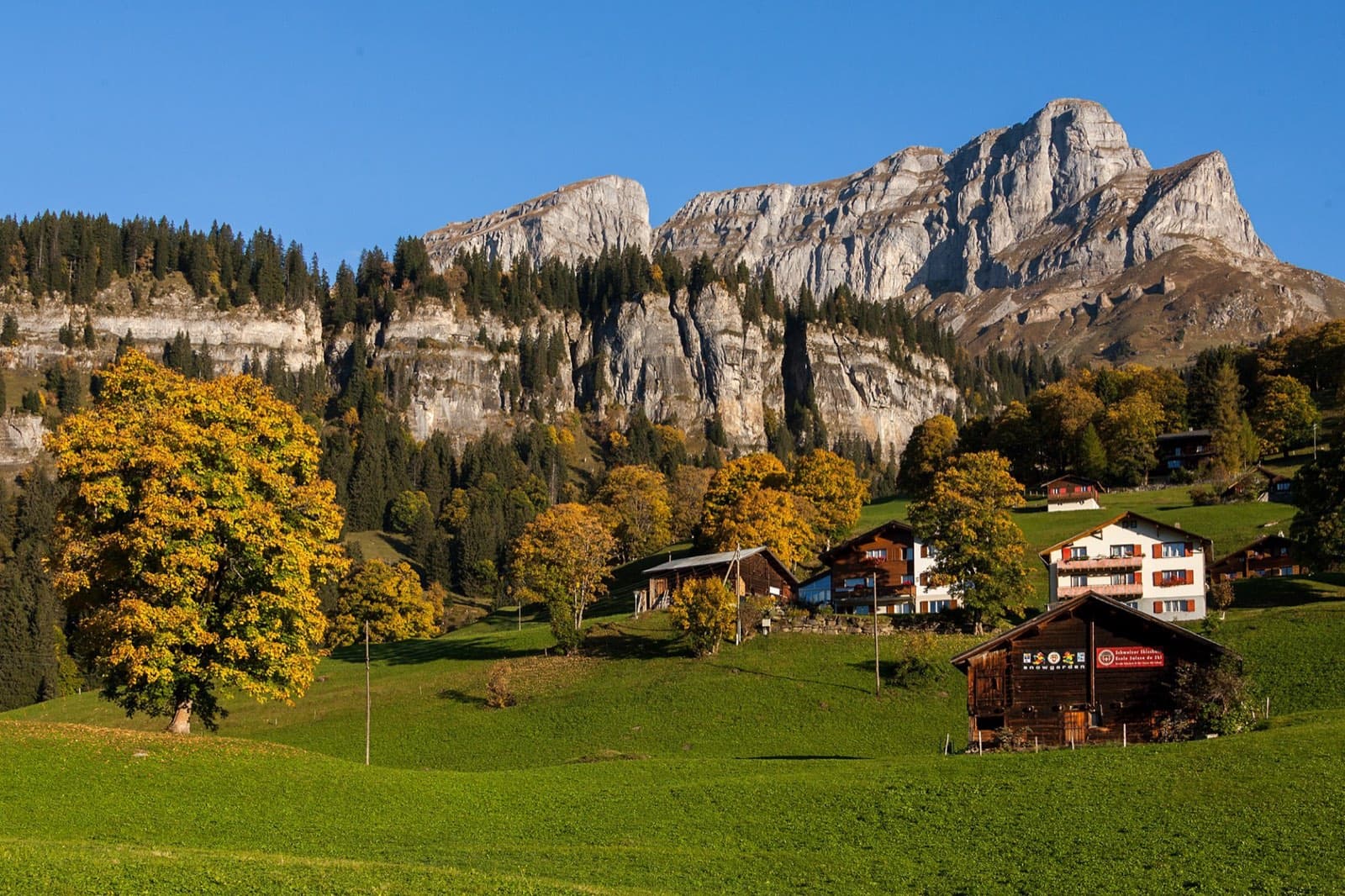 Braunwald, canton Glarus, at 1256 m, seen from the Hüttenberg cliffs.