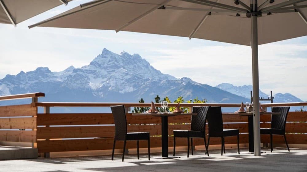 Viu Hotel Villars